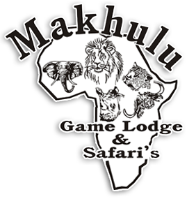 Lion Hunting in South Africa