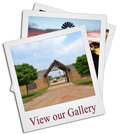 Makhulu Safari Lodge Gallery Link