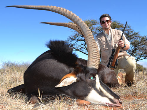 Makhulu South Africa sable hunting